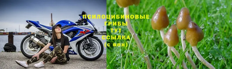 Псилоцибиновые грибы ЛСД  Северодвинск 